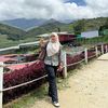 anissazaini