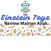 EINSTEIN TOYS | Mainan Viral