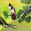 ngoc_anh.2018