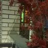 dr.fatimaa20