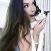 z7kiitty