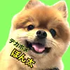 pon_ponta