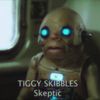 real_tiggy_skibbles