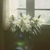 pt23.11