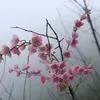chungbip777