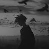 fiq_74