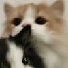 ilaaaaw_o0