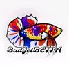 budjetbetta