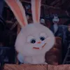 Rabbit là Tui 🐰