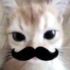 sqroeng1