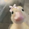 joaneypatricia