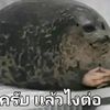 jiraporn52