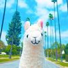 llamawithnodramaofficial