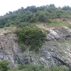 30654354809