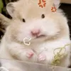 minhthu000zu