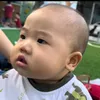 phu_chay
