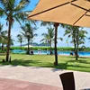 hongthinh56