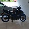 putratunggal990