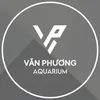 vanphuongaqua