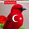 fatmakunkcu