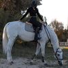 thestablediaries