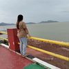 mehua