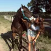alexandra._2004