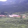 jess290578