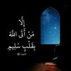 omyoussef667