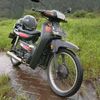 kadal210