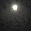 zzkakazz4