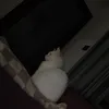 4yxzs