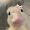 lazarska02