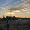 nina_12311