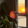 be_hip4_11