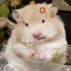 itsmehoaian