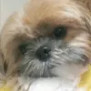 melodyfrancisco28