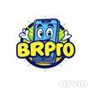 brpro.repairs225