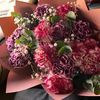 majdhammad66