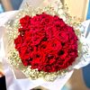 loayashraf6