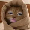 rendeya2