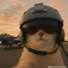 fawairyhoon_