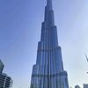 aliali4742