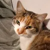 luxiasty_
