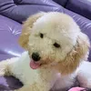 random_videos123700