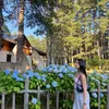 teresa_g_a_