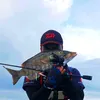 ardiyansusanto4ngler
