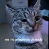 juancoria5