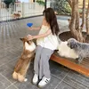 kiw_ngnn19