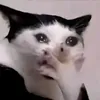 david.dinhphat